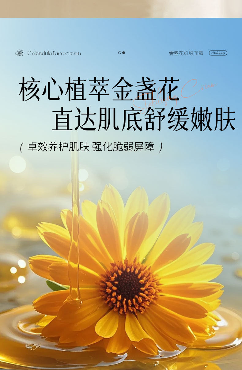 e8cb2518-16d6-4f60-b75b-ccb08ba599c9