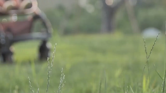 A986រទេះរុញទារក
